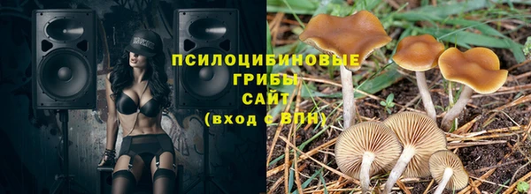 мяу мяу мука Арсеньев