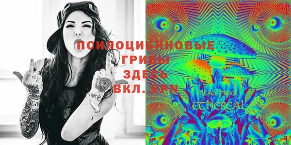 соль ск Аркадак